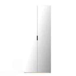 szafa-adbox-100x2496x60-dab-artisan-z-lustrem-polkami-nadstawka