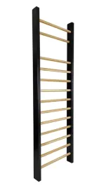 drabinka-gimnastyczna-leon-215-x-80-cm-czarna