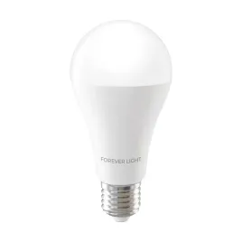 forever-light-zarowka-led-e27-a65-17w-2100lm-3000k-klasa-e