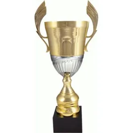 puchar-metalowy-zloto-srebrny-4128c