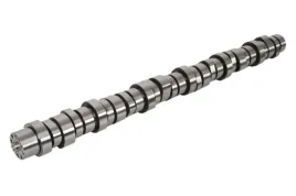 walek-rozrzadu-ent080007