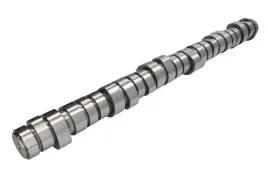 walek-rozrzadu-ent080015