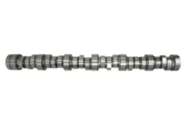 walek-rozrzadu-ent080004