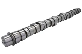 walek-rozrzadu-ent080001