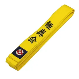 pasy-do-kyokushin-karate-300-cm-zolty