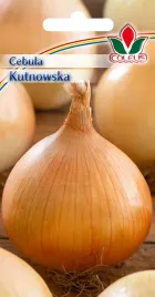 cebula-zwyczajna-kutnowska-5-g-nasiona-coleus