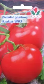 pomidor-gruntowy-krakus-3-g-nasiona-coleus