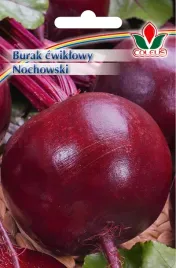 burak-cwiklowy-nochowski-20-g-nasiona-coleus