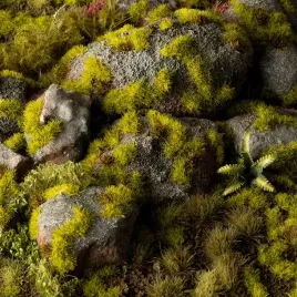 gamers-grass-grass-tufts-2-mm-moss-tufts-wild