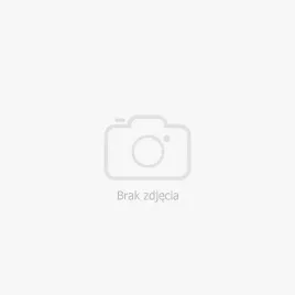 warhammer-age-of-sigmar-orruk-warclans-orruk-ardboyz