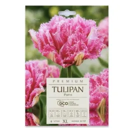 tulipan-strzepiasty-perth-dco-4-szt-cebulek-kapers-rozowy