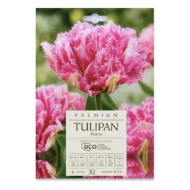 tulipan-strzepiasty-perth-dco-4-szt-cebulek-kapers-rozowy