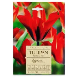 tulipan-viridiflora-formosa-red-dco-4-szt-cebulek-czerwony-kapers