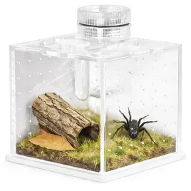 terrario-spidernook-m-mini-terrarium-akrylowe-z-oswietleniem