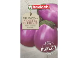 oberzyna-baklazan-violetta-di-firenze-wloskie-nasiona-bavicchi-2g