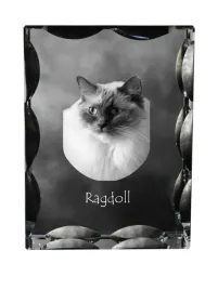 ragdoll-krysztal-ze-zdjeciem-kota-szklana-statuetka-ze-zdjeciem-wyjatko