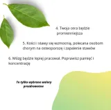 herbata-biala-white-monkey-50g-flavo-marka-bio-flavo-forma-lisciasta