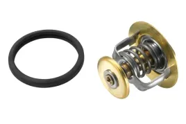 wahler-4103-82d-termostat-plyn-chlodzacy