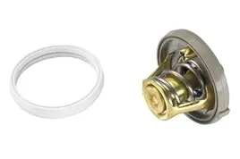 wahler-410262-91d-termostat-plyn-chlodzacy