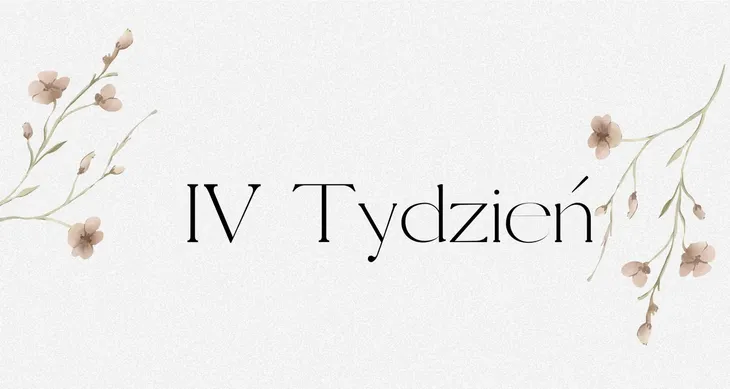 STATUS FINANSOWY SEGREGATORA BUDŻETOWEGO A6 Czwarty Tydzień