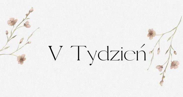 STATUS FINANSOWY SEGREGATORA BUDŻETOWEGO A6 Piąty Tydzień