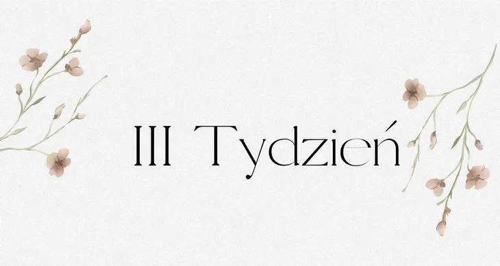 STATUS FINANSOWY SEGREGATORA BUDŻETOWEGO A6 Trzeci Tydzień