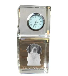 spaniel-francuski-french-spaniel-krysztalowy-zegarek-ze-zdjeciem-zdjeci