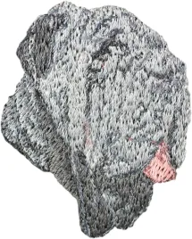 mastif-neapolitanski-neapolitan-mastiff-mastino-napoletano-naszywka-w-k