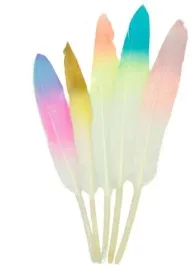 piorka-piora-mix-ozdobne-dekoracyjne-lotki-ombre