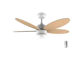 wentylator-cecotec-energysilence-aero-4260-orange-pomaranczowy