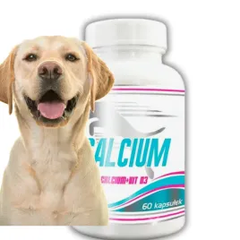 game-dog-v2-calcium-wit-d3-60-kosci-stawy-miesnie