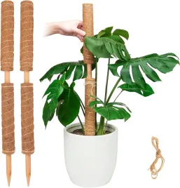paliki-kokosowe-do-roslin-4-szt-30-cm-podpory-monstera-pothos-pnacza