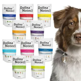 dolina-noteci-premium-karma-mokra-dla-psa-mix-smakow-10-x-500g-saszetka