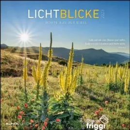 kalendarz-scienny-30x30-cm-lichtblicke-2023