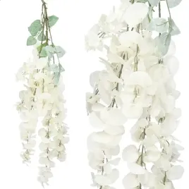 wisteria-wiszaca-glicynia-gesta-zwis-pnacze-xxl-6-pedow-110cm