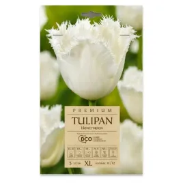 tulipan-strzepiasty-honeymoon-dco-5-szt-cebulek-xl-snieznobialy-kapers