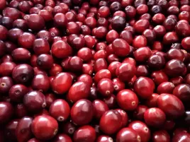 zurawina-wielkoowocowa-mrozona-i