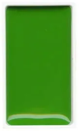 farba-akwarelowa-kuretake-gansai-tambi-051-sap-green-light