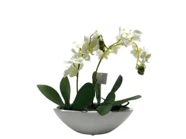 sztuczny-storczyk-w-doniczce-flair-flower-021397w-bialy-27-cm