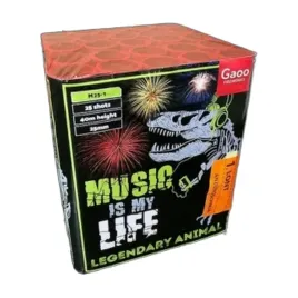 music-is-my-life-m25-1-25s-25mm4-klasa-f2