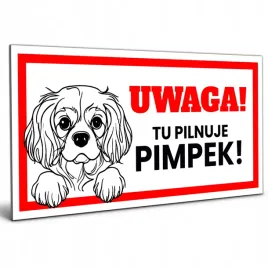 tabliczka-uwaga-pies-z-rasa-psa-z-imieniem-maltanczyk-or-16x8cm-or-na-furtke