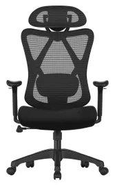ergonomiczny-fotel-biurowy-obrotowy-krzeslo-na-podparcie-ledzwiowe-czarny