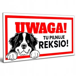 tabliczka-uwaga-pies-z-rasa-psa-z-imieniem-border-collie-16x8cm-na-furtke