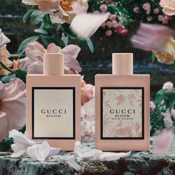 gucci-bloom-edt-50-ml-stan-nowy-pojemnosc-opakowania-50-ml