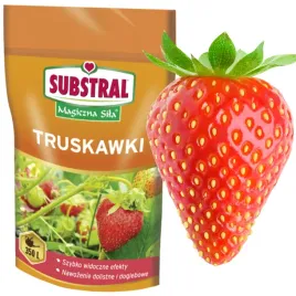 nawoz-do-truskawek-poziomek-substral-magiczna-sila-szybki-efekt-na-350l