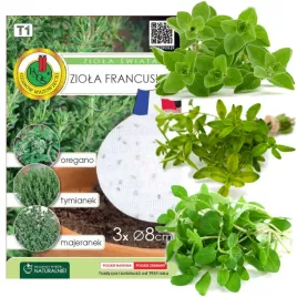 ziola-oregano-tymianek-majeranek-nasiona