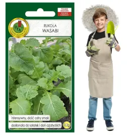 rukola-wasabi-intensywny-ostry-smak-idealna-do-potraw-azjatyckich-nasiona