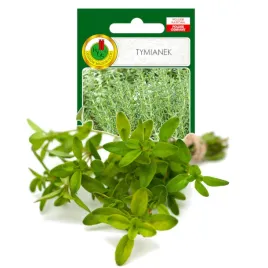 tymianek-przyprawa-ziola-nasiona-ziol-bez-gmo