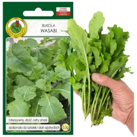 rukola-wasabi-intensywny-ostry-smak-idealna-do-potraw-azjatyckich-nasiona