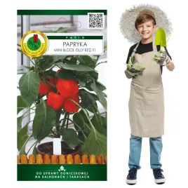papryka-mini-block-olly-red-odpowiednia-na-balkon-idealna-do-nadziewania